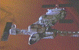 Species II